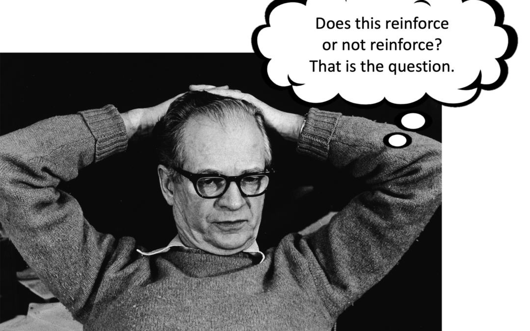 B.F. Skinner: The Essential Parent Companion