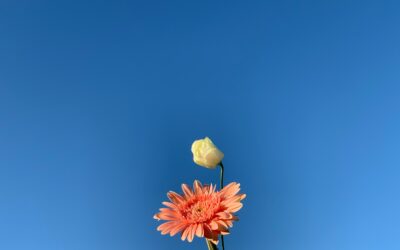 Why Recovering from an Eating Disorder Is Worth It – The Beginning is Always Today