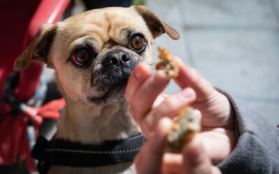 Willingness vs. Willfulness