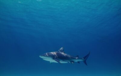 How Facing Your Fears Can Change Traumatic Beliefs